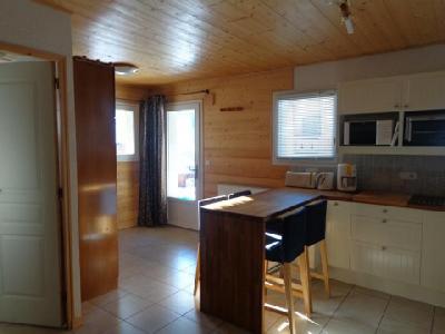 Vakantie in de bergen Studio 3 personen - Chalet les Bouquetins - Châtel - Keukenblok