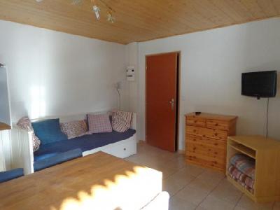 Vakantie in de bergen Studio 3 personen - Chalet les Bouquetins - Châtel - Woonkamer