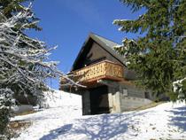 Wakacje w górach Domek górski 4 pokojowy z  widokiem na góry dla 10 osób - Chalet les Lutins - La Toussuire - 