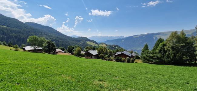 Location au ski Chalet 7 pièces 12 personnes (MTGSIN) - Chalet Montgésin - Montalbert - Extérieur été