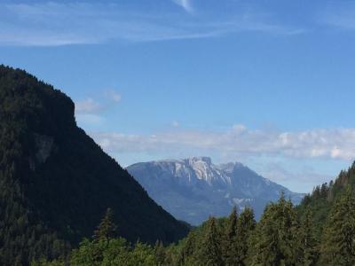 Vacances en montagne Chalet mitoyen 2 pièces 6 personnes - Chalet Moudon - Les Gets - Extérieur été