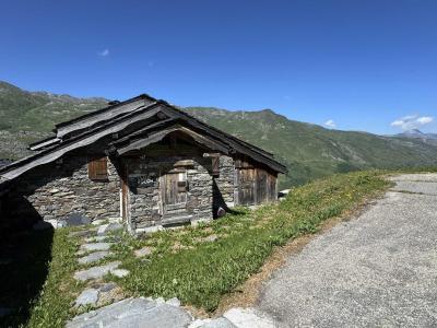 Vakantie in de bergen Chalet Nécou - Les Menuires - Buiten zomer