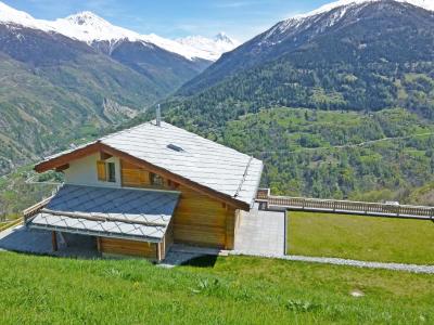 Vacances en montagne Chalet Ourson Blanc - Thyon - Extérieur été