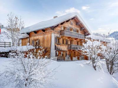 Vacances en montagne Chalet Panoramic - La Clusaz - 