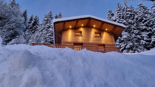Holiday in mountain resort 3 room duplex apartment 6 people - Chalet Socali - Le Grand Bornand