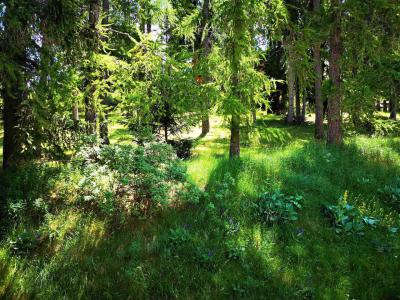 Urlaub in den Bergen Doppelchalethälfte 3 Zimmer für 7 Personen (11) - Chalets Les Flocons du Soleil - La Joue du Loup - Draußen im Sommer