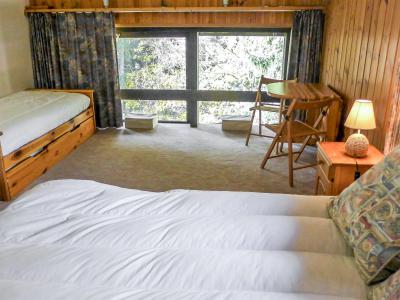 Vacanze in montagna Appartamento 1 stanze per 4 persone (4) - Grand Roc - Chamonix