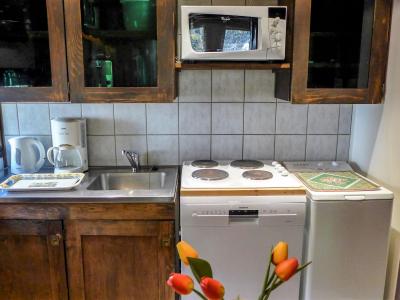 Vakantie in de bergen Appartement 1 kamers 4 personen (4) - Grand Roc - Chamonix - Keukenblok