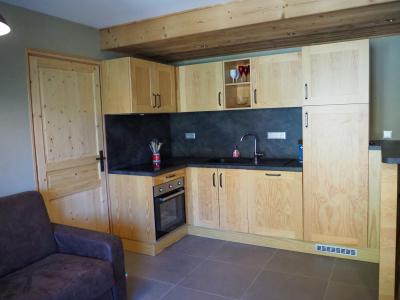 Holiday in mountain resort 3 room apartment cabin 8 people - La Résidence - Les 2 Alpes - Kitchenette