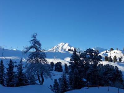 Vacaciones en montaña Estudio para 4 personas (19) - La Résidence Aigue-Marine - La Plagne