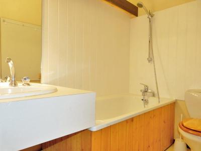 Vacances en montagne Studio coin montagne 4 personnes (H27) - La Résidence Aime 2000 le Zénith - La Plagne - Salle de bain