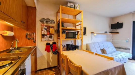 Holiday in mountain resort Studio sleeping corner 4 people (B102) - La Résidence Andromède - Flaine - Kitchen