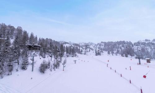 Soggiorno sugli sci Appartamento 2 stanze per 6 persone (42m²-8) - La Résidence Le France - La Plagne - Esteriore estate