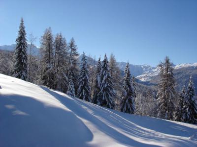 Vacanze in montagna Studio con alcova per 4 persone (719) - La Résidence le Grand Arbois - Les Arcs