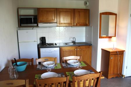 Vacances en montagne Appartement 2 pièces coin montagne 6 personnes (CE23) - La Résidence les Chaumettes - Superdévoluy - Cuisine