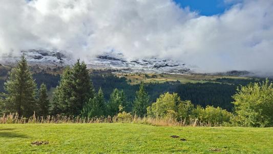 Vacances en montagne Studio cabine 4 personnes (09) - La Résidence Sagittaire - Flaine - Extérieur été