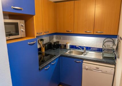 Vacaciones en montaña Apartamento 2 piezas para 6 personas (024) - Le Parc des Airelles - Les Orres - Cocina