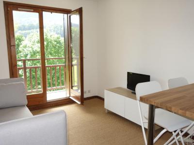 Vakantie in de bergen Appartement 1 kamers 4 personen (1) - Le Petit Sapin - Megève - Woonkamer