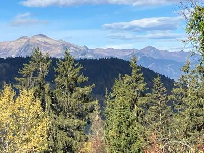 Urlaub in den Bergen 4-Zimmer-Appartment für 6 Personen (MR2) - Le Plantin - Méribel - Unterkunft