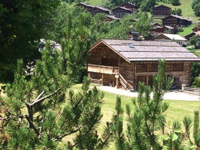 Vacances en montagne Le Snowbaur - Le Grand Bornand - Extérieur été