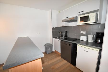 Holiday in mountain resort 2 room apartment sleeping corner 6 people - Les Adrets de Peyragudes - Peyragudes - Kitchen