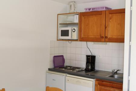 Vacanze in montagna Appartamento 4 stanze per 8 persone (FR31) - Les Chalets de SuperD Fraxinelle - Superdévoluy - Cucinino