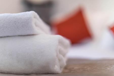 Wakacje w górach Les Chalets du Berger Premium - La Féclaz - Pokój gościnny
