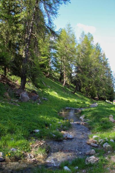 Urlaub in den Bergen Les Chalets du Planay - Montalbert - Draußen im Sommer