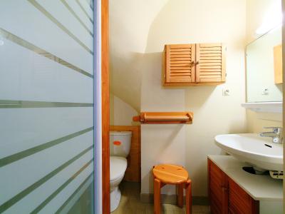 Vakantie in de bergen Appartement 1 kamers 2 personen (1) - Les Périades - Chamonix - Douche
