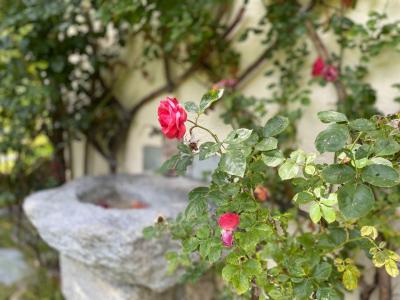 Holiday in mountain resort 5 room apartment 8 people (ASTER) - Maison de Pays les Arolles - Chamonix - Summer outside