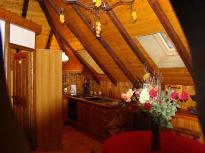 Каникулы в горах Апартаменты 2 комнат 4 чел. (ANESIE) - Maison Lucine - Valloire - Кухня