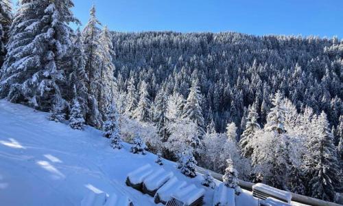 Urlaub in den Bergen 4-Zimmer-Appartment für 6 Personen (76m²-3) - Résidence Ariondaz Hellebore - Courchevel - Draußen im Sommer