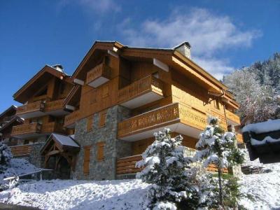 Vacances en montagne Résidence Aubépine - Méribel