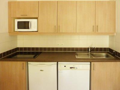 Vacaciones en montaña Apartamento 2 piezas para 4 personas (500) - Résidence Balcon des Airelles - Les Orres - Kitchenette