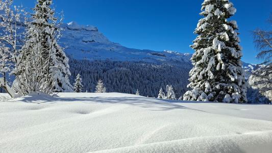 Каникулы в горах Résidence Bélier - Flaine