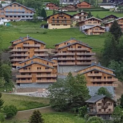 Résidence Chalet des Freinets