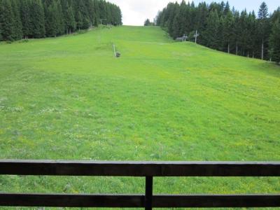 Vacanze in montagna Appartamento su due piani 4 stanze per 4-6 persone (228) - Résidence Chavaniou - Les Gets - Terrazza