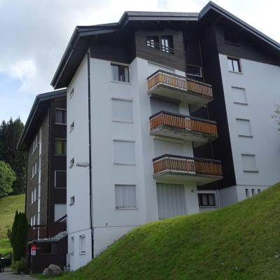 Аренда на лыжном курорте Апартаменты 3 комнат 5 чел. - Résidence Drakkars - Les Gets - летом под открытым небом