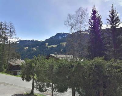 Vacanze in montagna Studio per 4 persone (1B) - Résidence Edelweiss - Le Grand Bornand