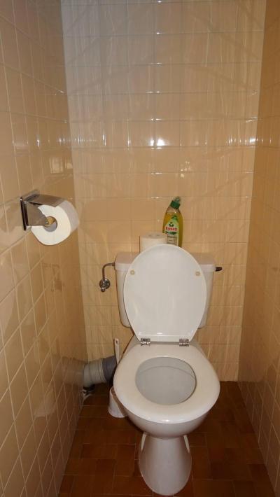 Vacaciones en montaña Apartamento 3 piezas para 6 personas (141) - Résidence Galaxy  - Les Gets - WC