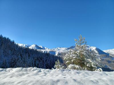 Vacances en montagne Appartement 2 pièces 3 personnes (1) - Résidence l'Ancolie - Albiez Montrond