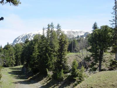 Vacaciones en montaña Estudio -espacio montaña- para 3 personas (118) - Résidence l'Edelweiss - Chamrousse