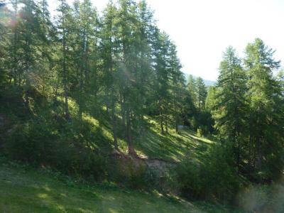 Skiverleih 2-Zimmer-Berghütte für 6 Personen (357) - Résidence l'Epervière - Les Orres - Draußen im Sommer