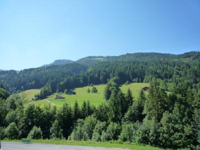 Vakantie in de bergen Résidence la Duche - Le Grand Bornand - Buiten zomer