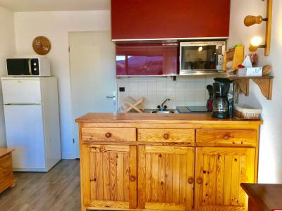 Vacaciones en montaña Apartamento cabina para 4 personas (36) - Résidence la Fleur du Roy - Villard de Lans - Kitchenette