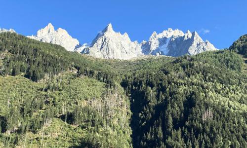 Vacances en montagne Appartement 3 pièces 6 personnes (Sélection 50m²) - Résidence la Ginabelle - MH - Chamonix - Extérieur été