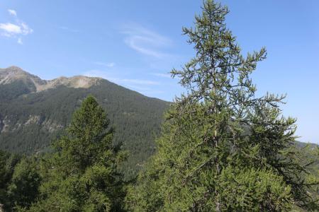 Vacances en montagne Appartement 2 pièces 6 personnes (380) - Résidence la Mazelière - Les Orres - Extérieur été