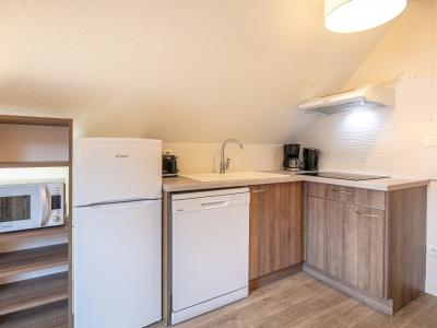 Urlaub in den Bergen 2-Zimmer-Appartment für 4 Personen - Résidence La Perrière - Saint Colomban des Villards - Kochnische