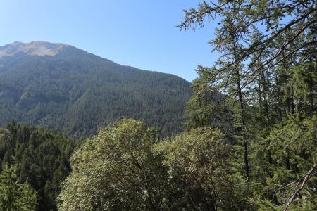 Vacanze in montagna Monolocale con alcova per 6 persone (315) - Résidence le Belvédère - Les Orres