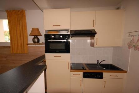 Wakacje w górach Studio z antresolą 7 osób (21) - Résidence le Chalet - Gourette - Kuchnia